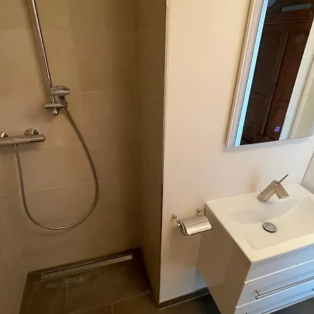 Apartmán Panorama-wohnung In Mit Carport Und Bahn-bus-gratis Konus *
