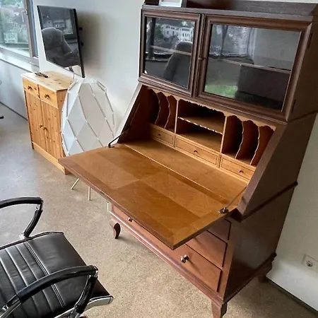 Panorama-wohnung In Mit Carport Und Bahn-bus-gratis Konus * Laufenburg