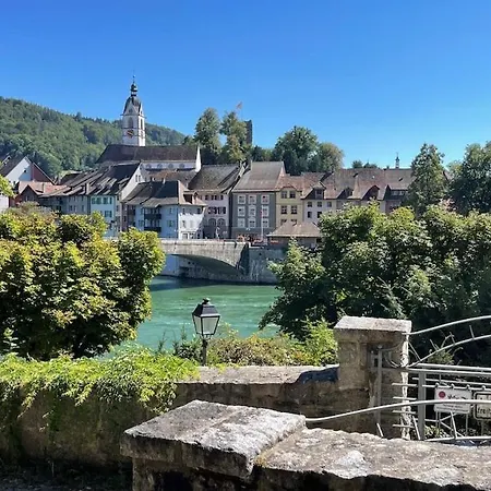 Panorama-wohnung In Mit Carport Und Bahn-bus-gratis Konus * Laufenburg